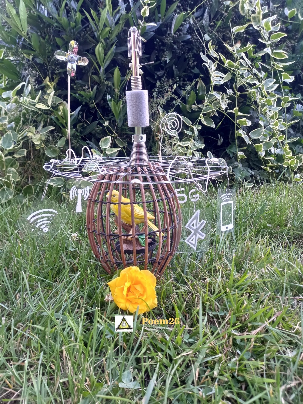 2026 06 12 canari en cage poem26a